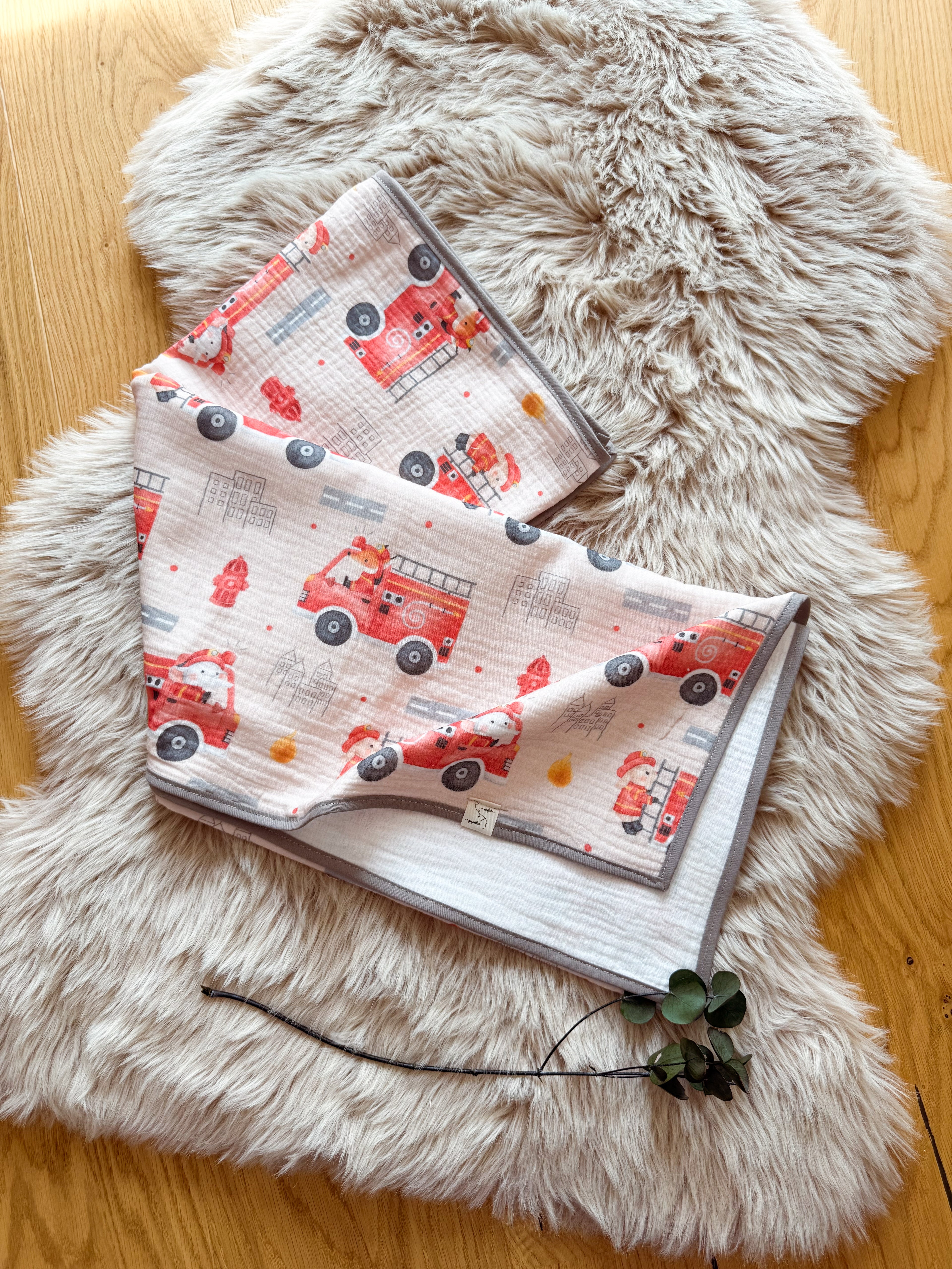 Musselindecke/ Sommerdecke